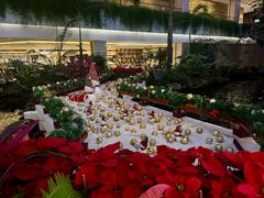 -广州白天鹅宾馆