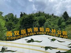 -西双版纳原始森林公园