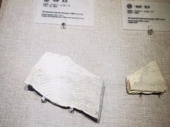 -南越王博物院(王宫展区)
