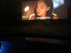 -枫花园汽车电影院(朝阳公园店)