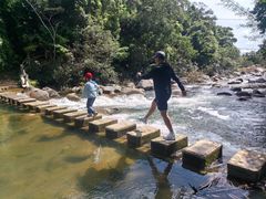 -海南热带雨林国家公园吊罗山景区