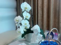 -洁铭新加坡医美