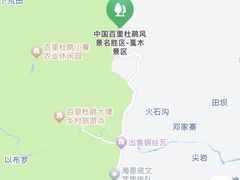 -贵州百里杜鹃风景名胜区