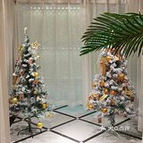 最好吃的泰餐[加油]