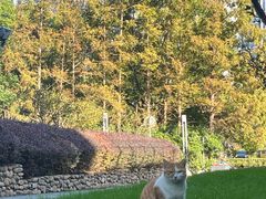 -陆家嘴世纪金融广场