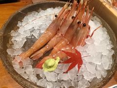 -月龍吟(朝龙汇店)