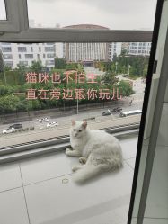 -熙.Hair 丨专注女子中长发丨