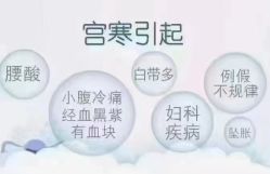 -香薇妮丝女子减肥院