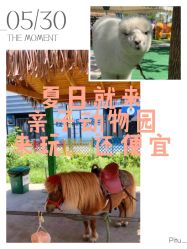 -萌宠亲子动物乐园(槐房万达店)