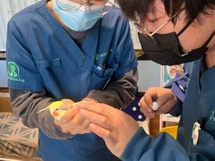 -瑞派·关忠动物医院·异宠专科·犬猫肿瘤·皮肤专科(望京店)