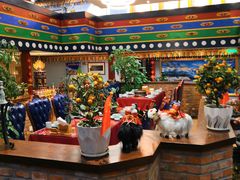 大堂-后院犇牛主题餐厅(云岗店)