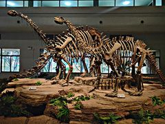 -自贡恐龙博物馆