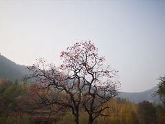 -石门坊