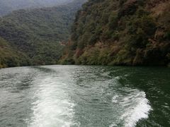 -天台国家森林公园水上茶乡九鹏溪