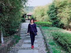 -九龙潭景区