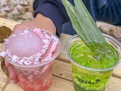 -J Create城市露营咖啡·简餐·宠物(上海动物园店)