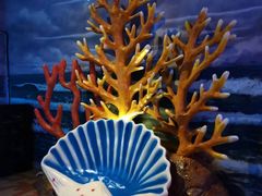-南京海底世界