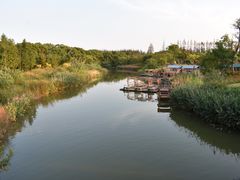 -上海长兴岛郊野公园