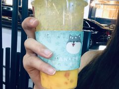 -野萃山·潮汕厚果汁(十亩地店)