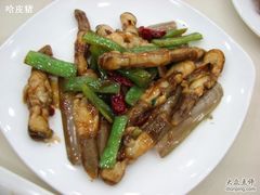 蛏子-海岛渔村大酒店(云霄路店)