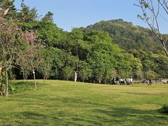 -黄埔油麻山森林公园