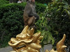 -黔灵山公园-南门售票处