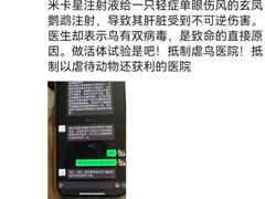 -雨林宠物医院 非犬猫异宠专科