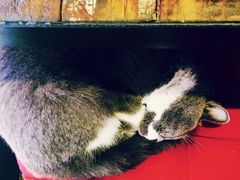 Mikaku-MIKAKU(万达广场上海宝山店)