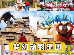 -郑州银基国际旅游度假区