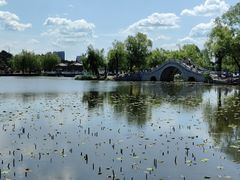 -长春市南湖公园