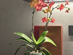 -望京辣宴·古法川菜(望京店)