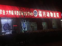 -瑞派福兴宠物医院犬猫全科·骨科·中西医结合(河东店)