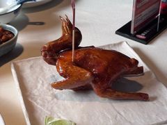 -侨美·唐荔园·40年地道粤菜