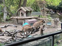 -宁波野生动物园