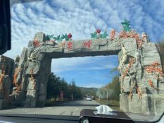 -云岭野山参风景区