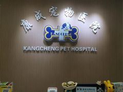 -康成宠物医院24H·CT·核磁共振