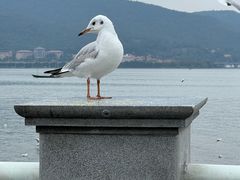 -海埂大坝