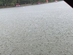 -二一九公园