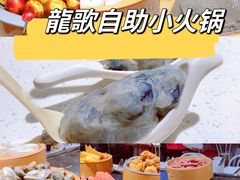 -龍歌自助小火锅(崂山丽达店)