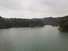 -佛山市三水区大南山森林公园