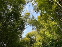 -人民公园(罗湖区)