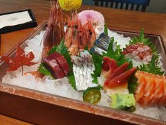 -月龍吟(朝龙汇店)