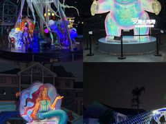 -海合安成都极地海洋公园