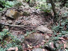 -梧桐山风景名胜区