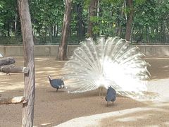 -秦皇岛野生动物园