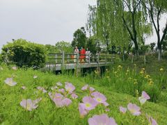 -尚贤河湿地