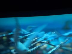 -华夏优加影城(长和国际店)