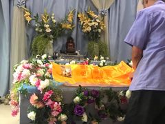 -彩虹桥宠物火化殡葬善终服务(金乐大厦店)