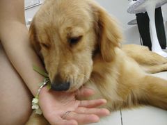 -怪兽屋·羊驼·猫咖·狗咖(俊华广场店)