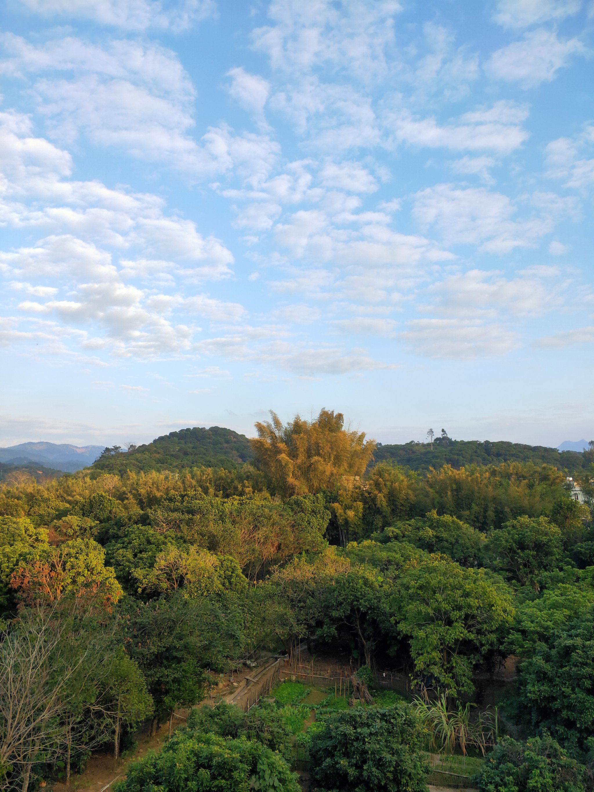 分享相册里最美的风景#随手拍#好山好水好风景 在信宜农村的腋鲻